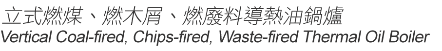 立式燃煤、燃木屑、燃廢料導熱油鍋爐